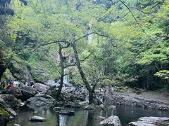 -石台牯牛降景区