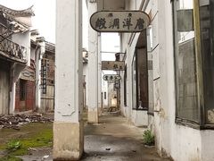 -上海鲜花港
