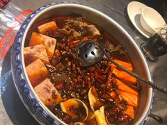 -红辣椒·川菜·火锅(张杨路店)