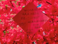 -上海书城(福州路店)