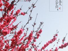 -杭州城北体育公园