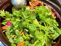 -凤兴鸡煲(宝安海雅店)