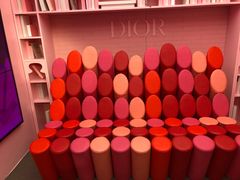 -Dior迪奥(上海世茂广场店)