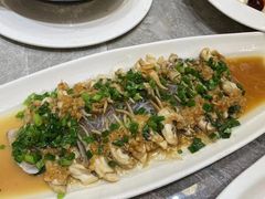 -老绍兴养和饭店(向阳不夜城店)