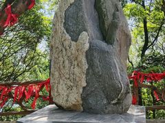 -广州市帽峰山景区