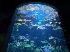 -暹罗海洋世界
