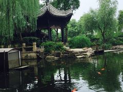 朱家角课植园-朱家角课植园