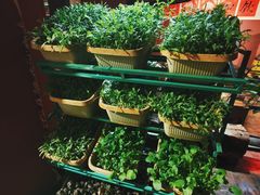 -大匠工房古船木艺术餐厅·猪肚鸡专门店(长白仙岛店)