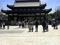 -赵州桥景区