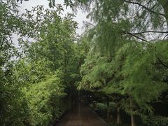 -天目湖山水园