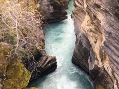 -阿萨巴斯卡瀑布观景点