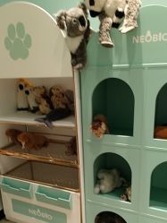 -奈尔宝·儿童乐园·亲子餐厅(苏州大悦城店)