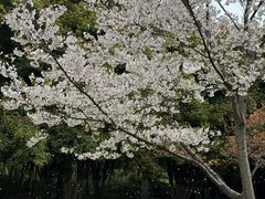 -范蠡湖公园