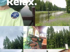 -黄海国家森林公园