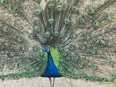 -祥源·阜阳生态乐园