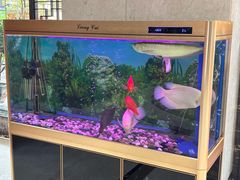 -博雅假日酒店(广州白云山万达广场店)