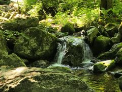 -关门山森林公园