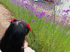 -石井坡(地铁站)