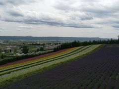 -富田农场