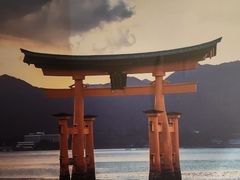 -白兔子密室(长寿路店)