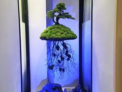 -关里关外·鱼头泡饼(唐冶绿地汇店)