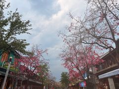 -大理文庙(大理古城)
