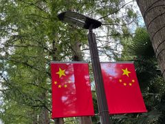 -黄海国家森林公园