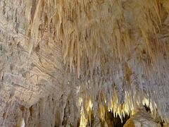 -怀托摩萤火虫洞