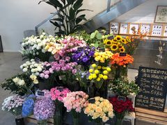 -植物学家的女儿(北马道巷店)