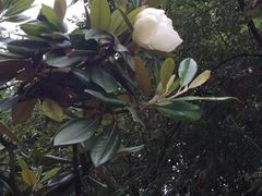 -云南民族大观园