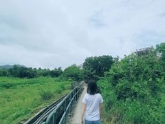 -南丫岛