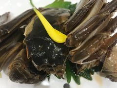 -新光酒家·河豚·海鲜·蟹料理(浦东店)