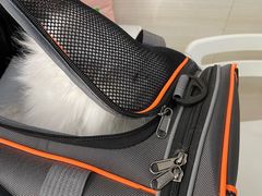 -宠福鑫动物医院(立水桥分院)