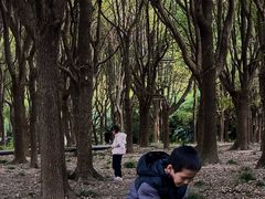 -上海科技馆(地铁站)