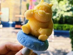 -郑州方特梦幻王国