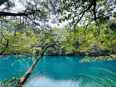 -鼎湖山风景区