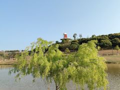 -东莞植物园