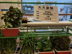 -山东宾馆·齐鲁苑餐厅