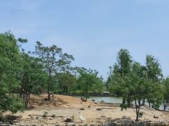 -盐城丹顶鹤湿地生态旅游区
