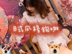 -柴迷FANS CLUB·柴犬狗咖·猫咖