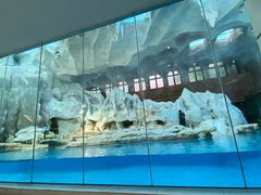 -帝企鹅自助餐厅•儿童岛•真企鹅(长隆企鹅酒店)