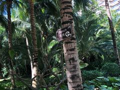 -三亚湾海居铂尔曼度假酒店