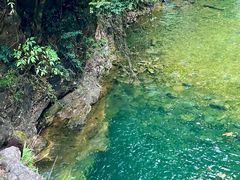 -鼎香皇高佬苏裹蒸粽