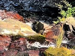 -黄埔油麻山森林公园