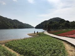 -广州市石门国家森林公园