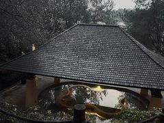 -天目湖涵田半山温泉