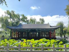 -济南大明湖景区
