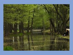 -上海共青森林公园