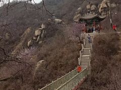 -北京凤凰岭