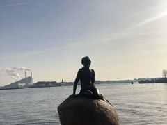 -美人鱼